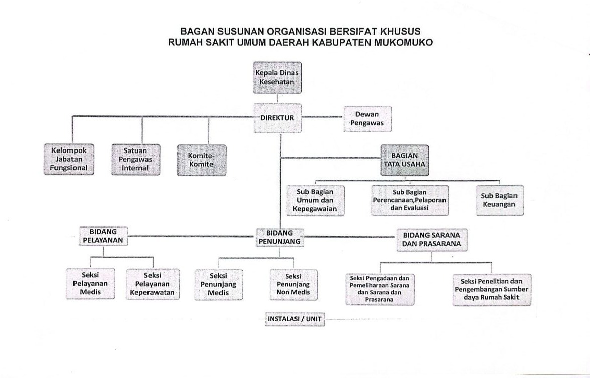Struktur Organisasi